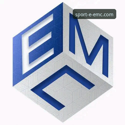EMC易倍注册入口 vs 官方下载渠道：老用户手把手对比指南